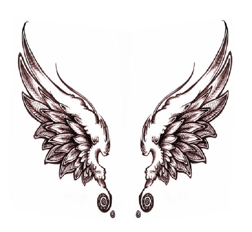 Angel Wing Sketches Clipart - Free to use Clip Art Resource