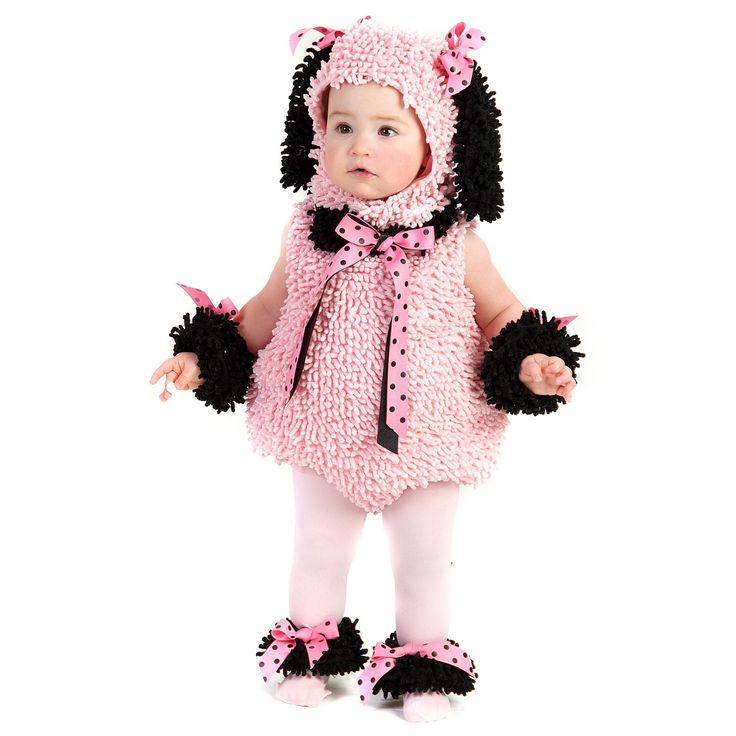 Pink Poodle | Poodles, Poodle and ...