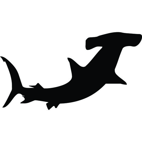 Sharks and Hammerhead shark