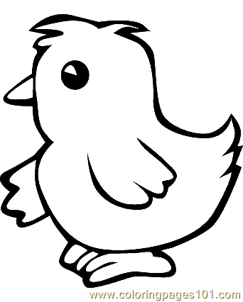 baby chick a happy little baby chick coloring page. baby chick ...