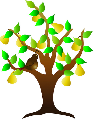 Photo Clip Tree | Free Download Clip Art | Free Clip Art | on ...