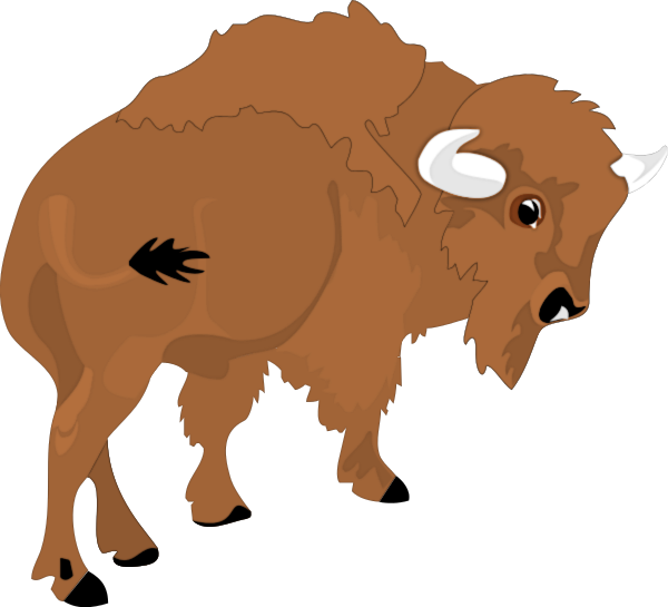 Free buffalo clipart images