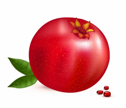 Pomegranate Clipart | Free Download Clip Art | Free Clip Art | on ...