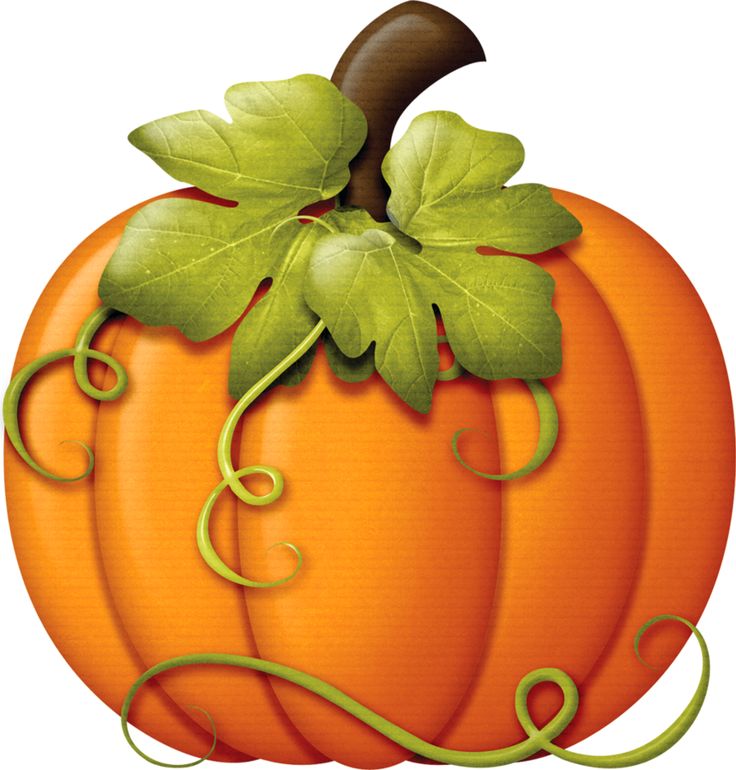 Image of pumpkin clipart