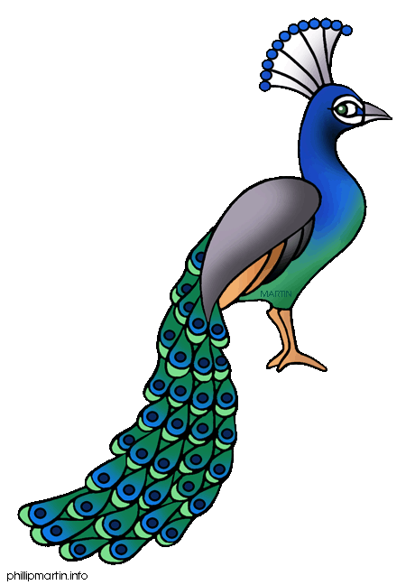 Peacock clipart - ClipartFox