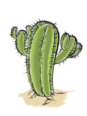 Barrel Cactus Drawing