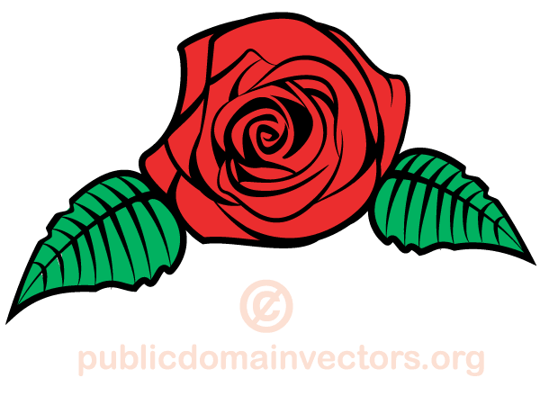 Vector Rose Flower Image | 123Freevectors