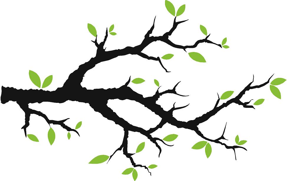 free tree branch clipart