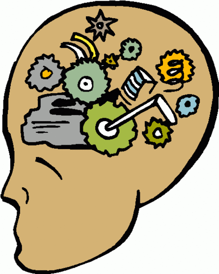 Brain Diagram Unlabeled Clipart - Free to use Clip Art Resource