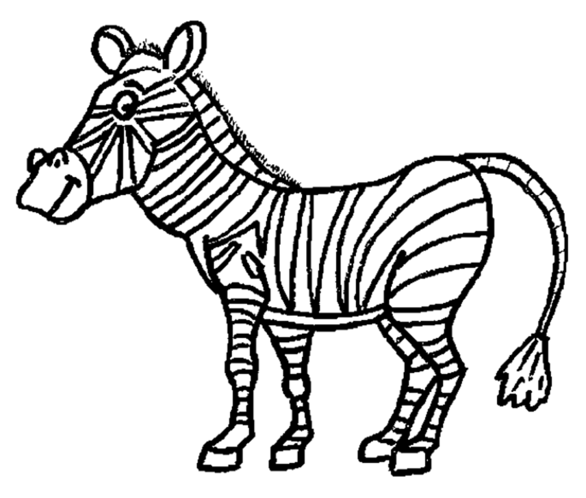 zebra coloring page : Coloring - Kids Coloring Pages