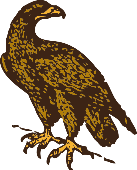 Golden Eagle Clipart