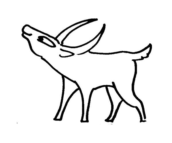 Cartoon Antelope coloring pages for kids