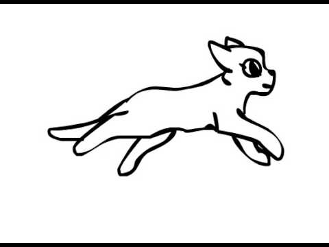 Running Cat 2 - YouTube