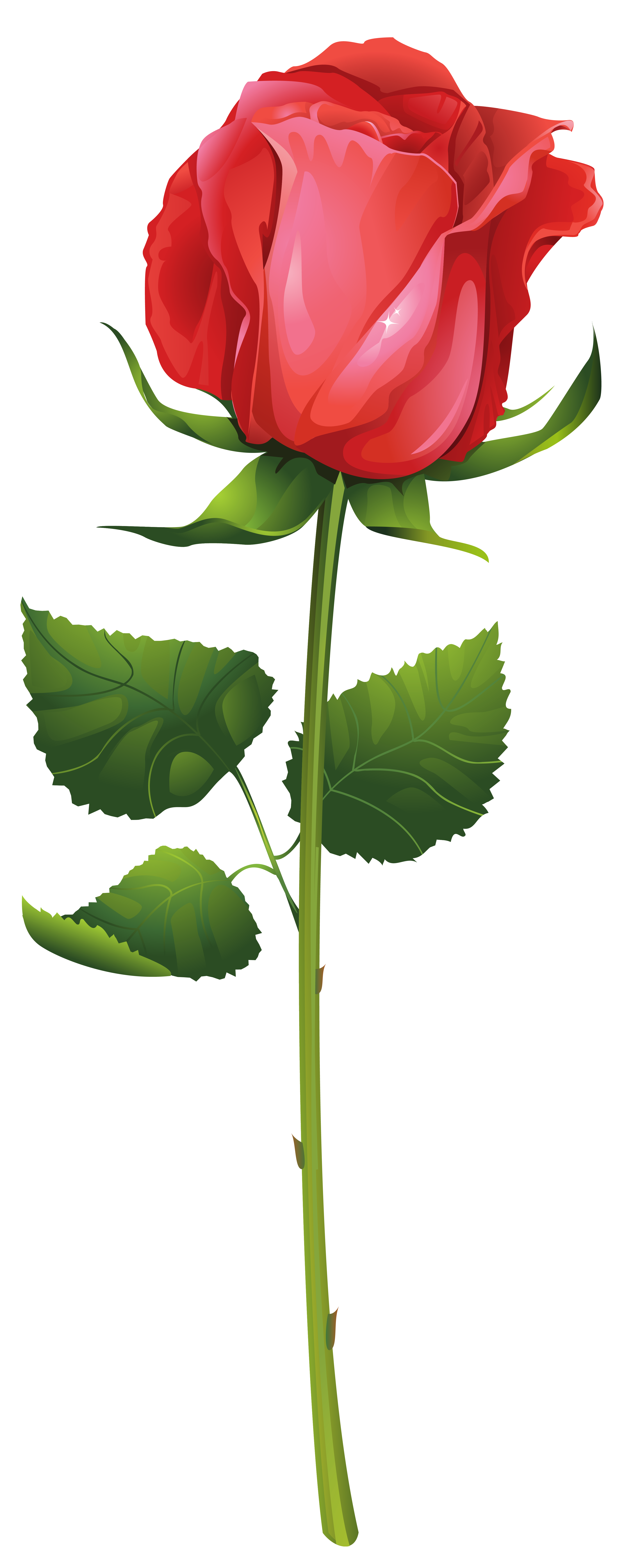 Red Rose Painting Png Use The Paint Collection Feature And Change The Color Of The Whole