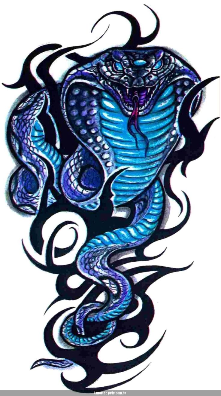 1000+ images about Cobra Tattoos