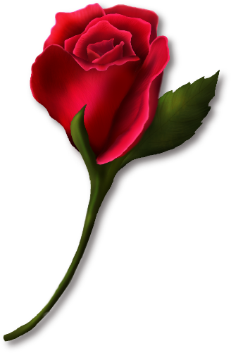 Free Rose Images | Free Download Clip Art | Free Clip Art | on ...