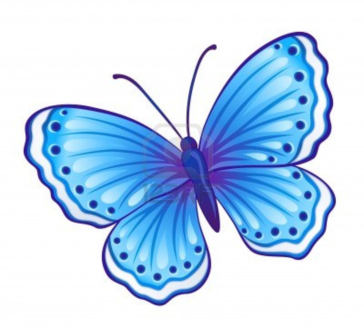 Butterfly Drawing | Free Download Clip Art | Free Clip Art | on ...