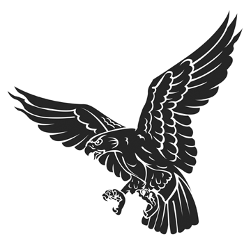 Hawks Clipart