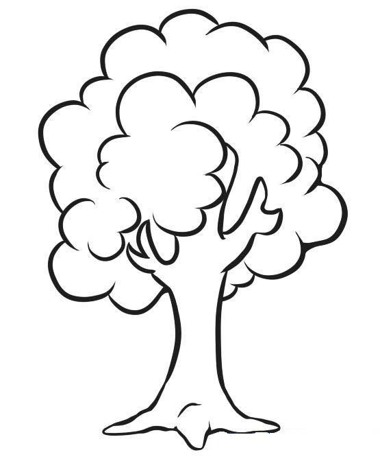 Kako nacrtati drvo
