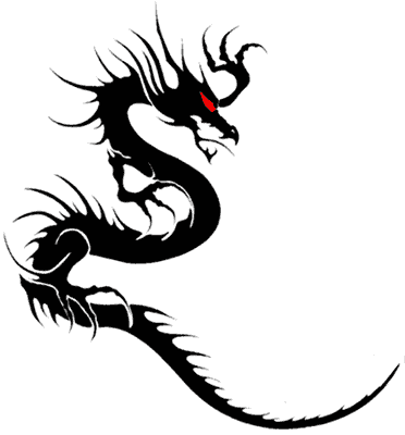 Black And White Dragon Tattoo