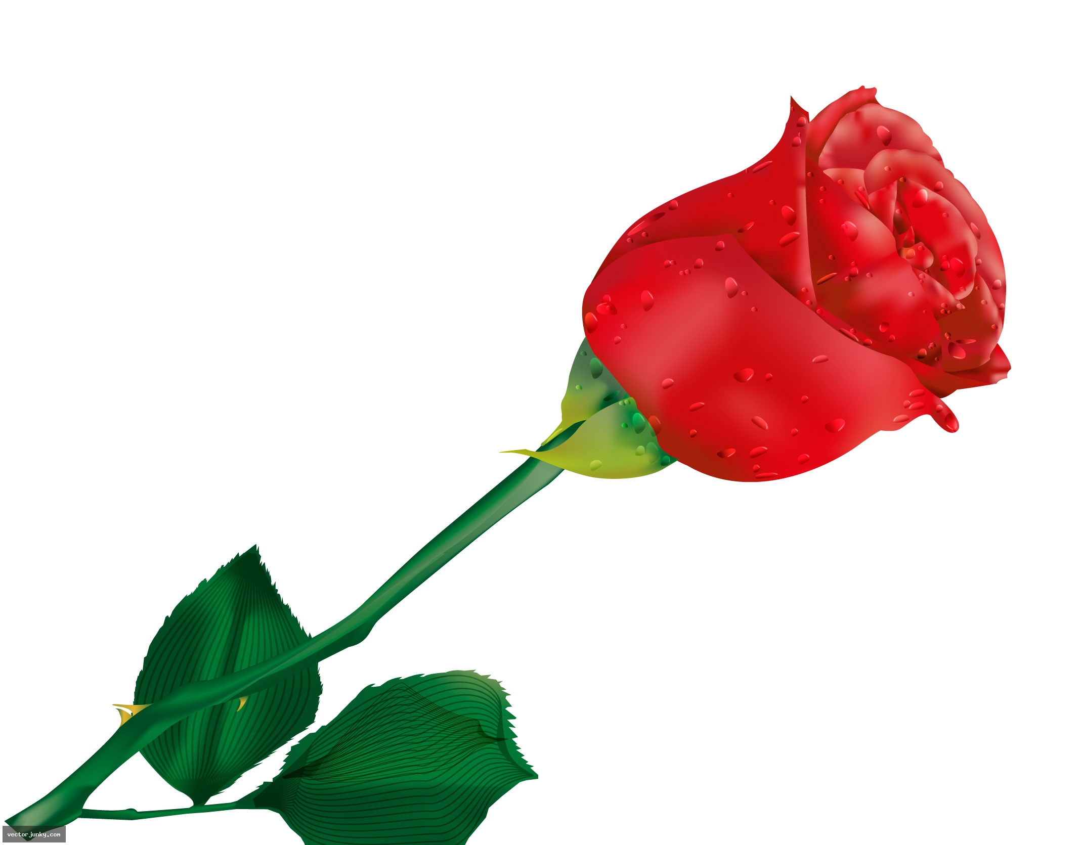 Rose Graphics Clipart Best