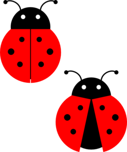 Cartoon Ladybug Clipart