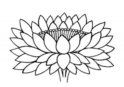 Lotus Flower Line Drawing | Free Download Clip Art | Free Clip Art ...