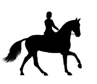 Horse Riding Clipart Free - ClipArt Best