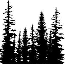 Forest Silhouette | Pine Tree ...