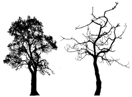 Tree Silhouette 002 - HB593200 by hb593200 on DeviantArt