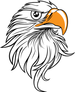 Eagle Head Clip Art - vector clip art online, royalty ...