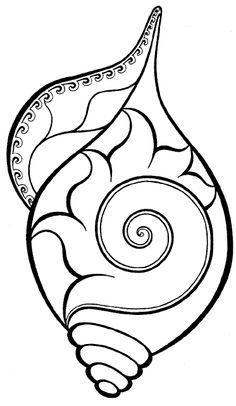 How To You Draw A Conch Shell - ClipArt Best