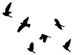 Black birds flying clipart