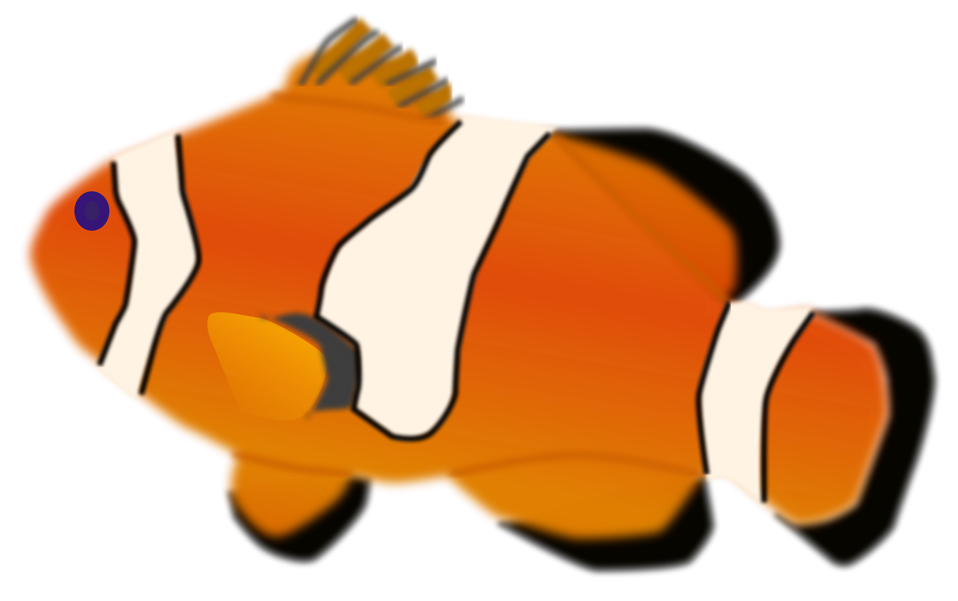 Clown fish clipart transparent background