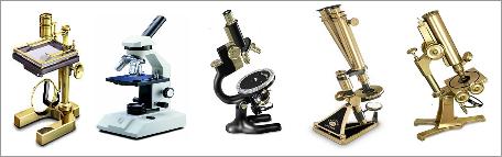 Where can i Find a Diagram of Microscope Parts | Tutorvista Answers