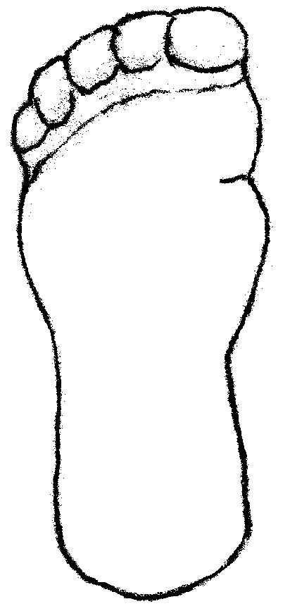 Foot Outline - ClipArt Best