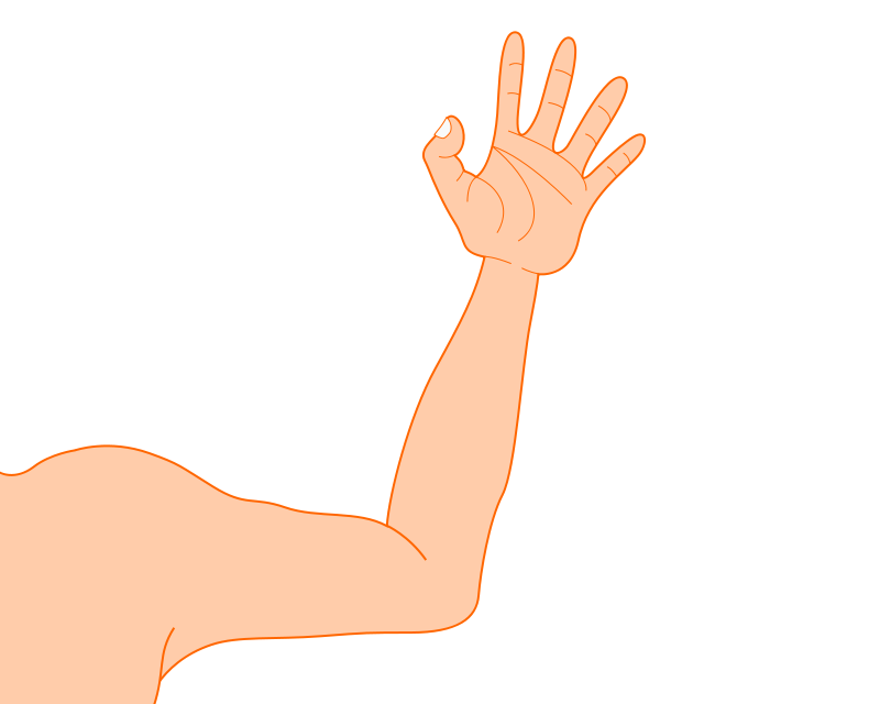 Clipart - arm