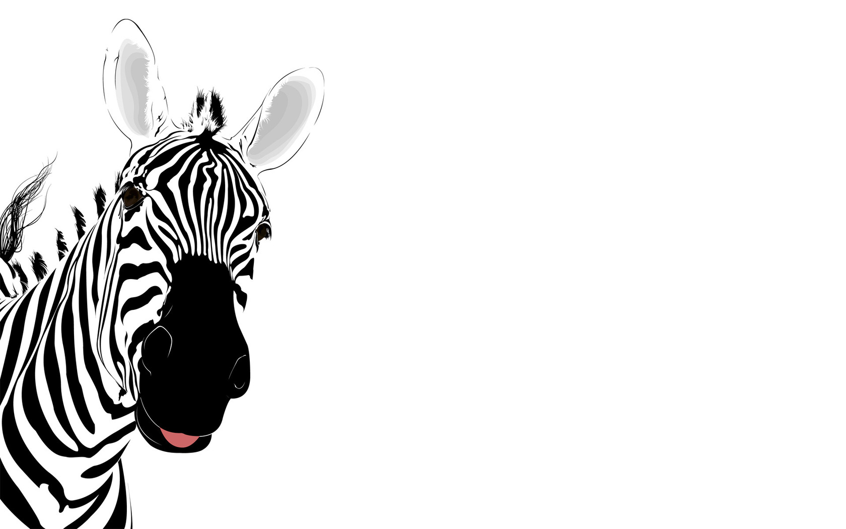 Zebra Wallpaper 1680x1050 1920x1080 More