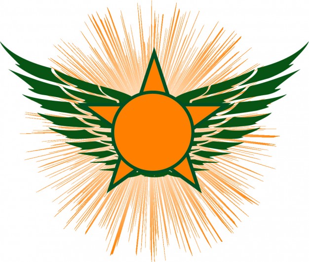 Star wings orange condecoration icon vector Vector | Free Download