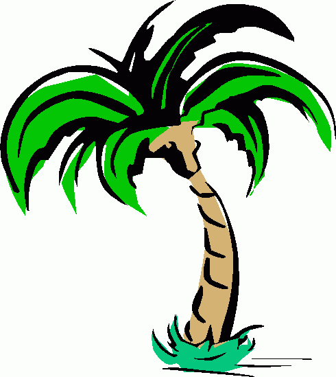 Cartoon Palm Tree Clip Art