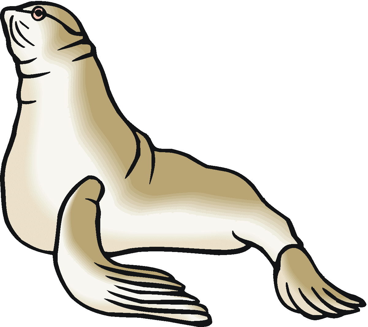 Sea Otter Clip Art