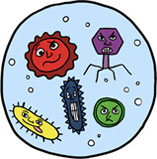 Bacteria Clipart Free - Free Clipart Images