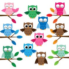 Owl bird, Baby showers and Clip art