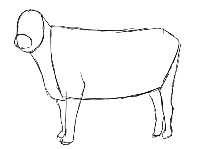 How To Draw A Cow - Draw Central