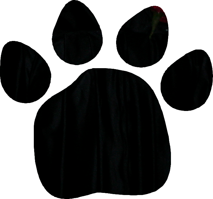 Black Bear Paws - ClipArt Best