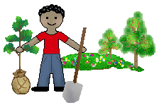 Plant A Tree Clipart