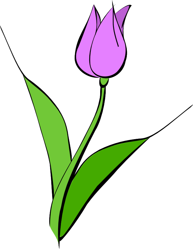 Tulip Clip Art