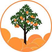 Orange Tree Drawing - Free Clipart Images