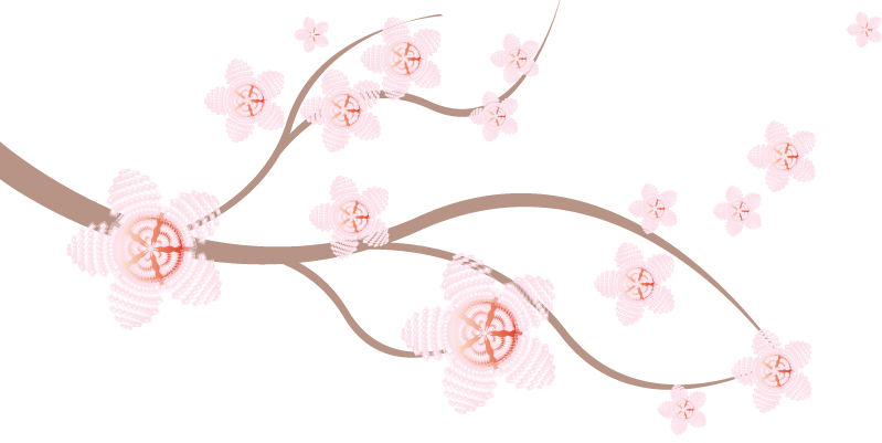 Sakura flower vector