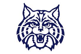 Wildcat logo showdown between the University of Arizona and ...